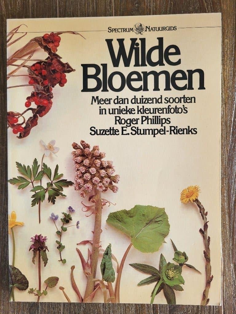 Wilde bloemen - Roger Philips, Boeken, Bloemen, Planten en Bomen, Ophalen of Verzenden, Zo goed als nieuw, Roger Philips
