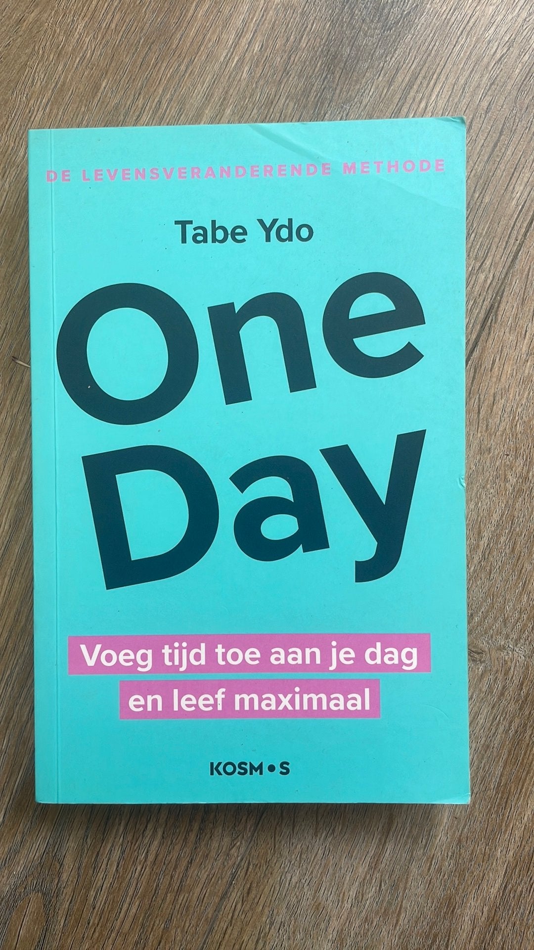 One day - Tabe Ydo, Boeken, Ophalen of Verzenden, Zo goed als nieuw