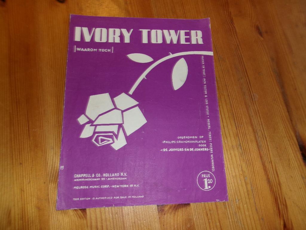 Ivory tower - Fulton Steele, Gitaar, Ophalen of Verzenden, Zo goed als nieuw, Artiest of Componist