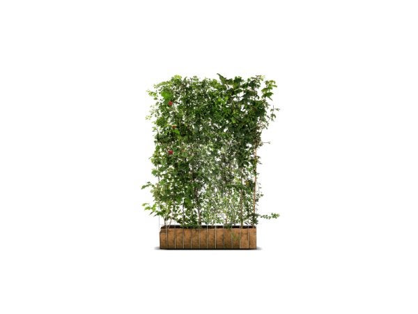 HAAG bio-scherm diverse struiken staalmat 120x180 eco-HAAG, Overige soorten, Vaste plant, Ophalen of Verzenden, Halfschaduw