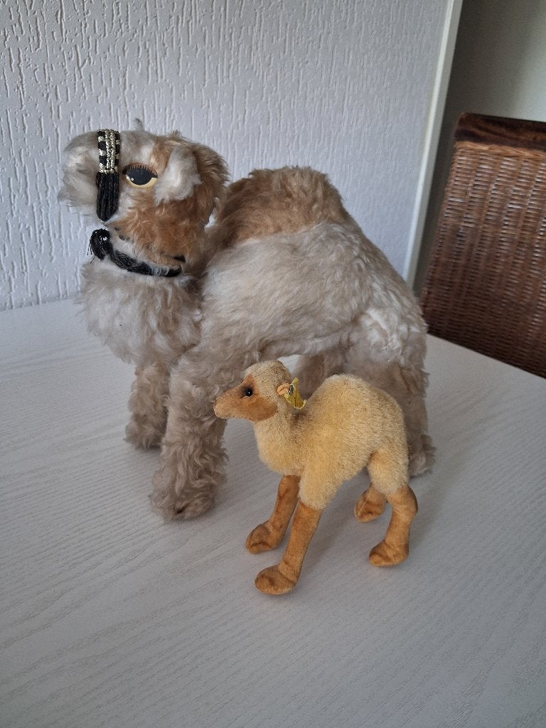 Vintage Mohair en Steiff dromedarissen, Antiek en Kunst, Ophalen of Verzenden