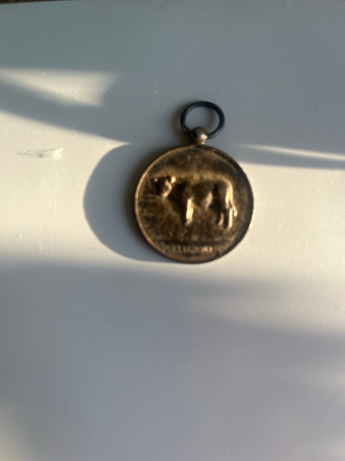Oude bronzen medaille met koeienafbeelding, Ophalen of Verzenden, Brons, Nederland