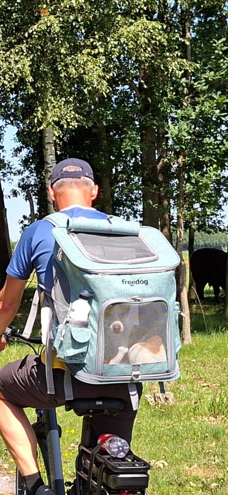 Rugzak hond, Ophalen