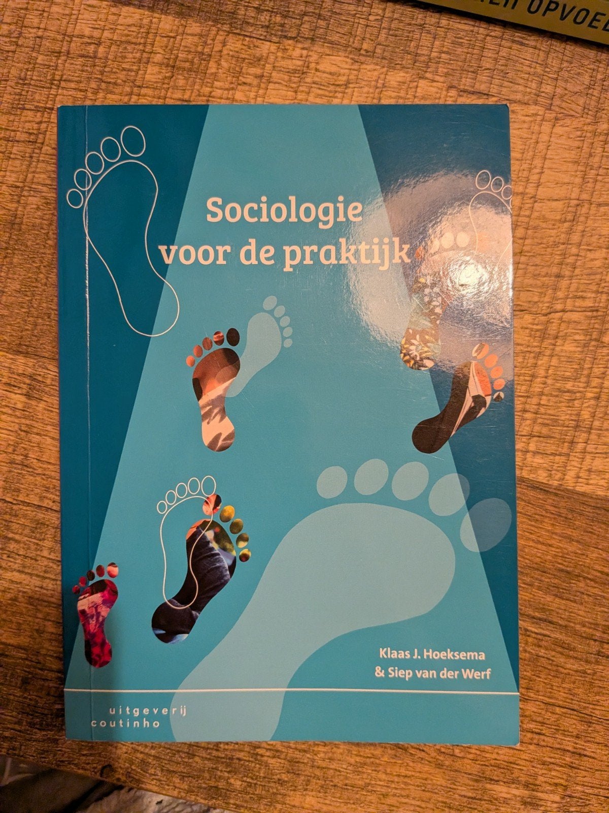 Sociologie voor de praktijk (8e druk) - Klaas J. Hoeksema, Boeken, Ophalen of Verzenden, Zo goed als nieuw, Overige niveaus, Nederlands