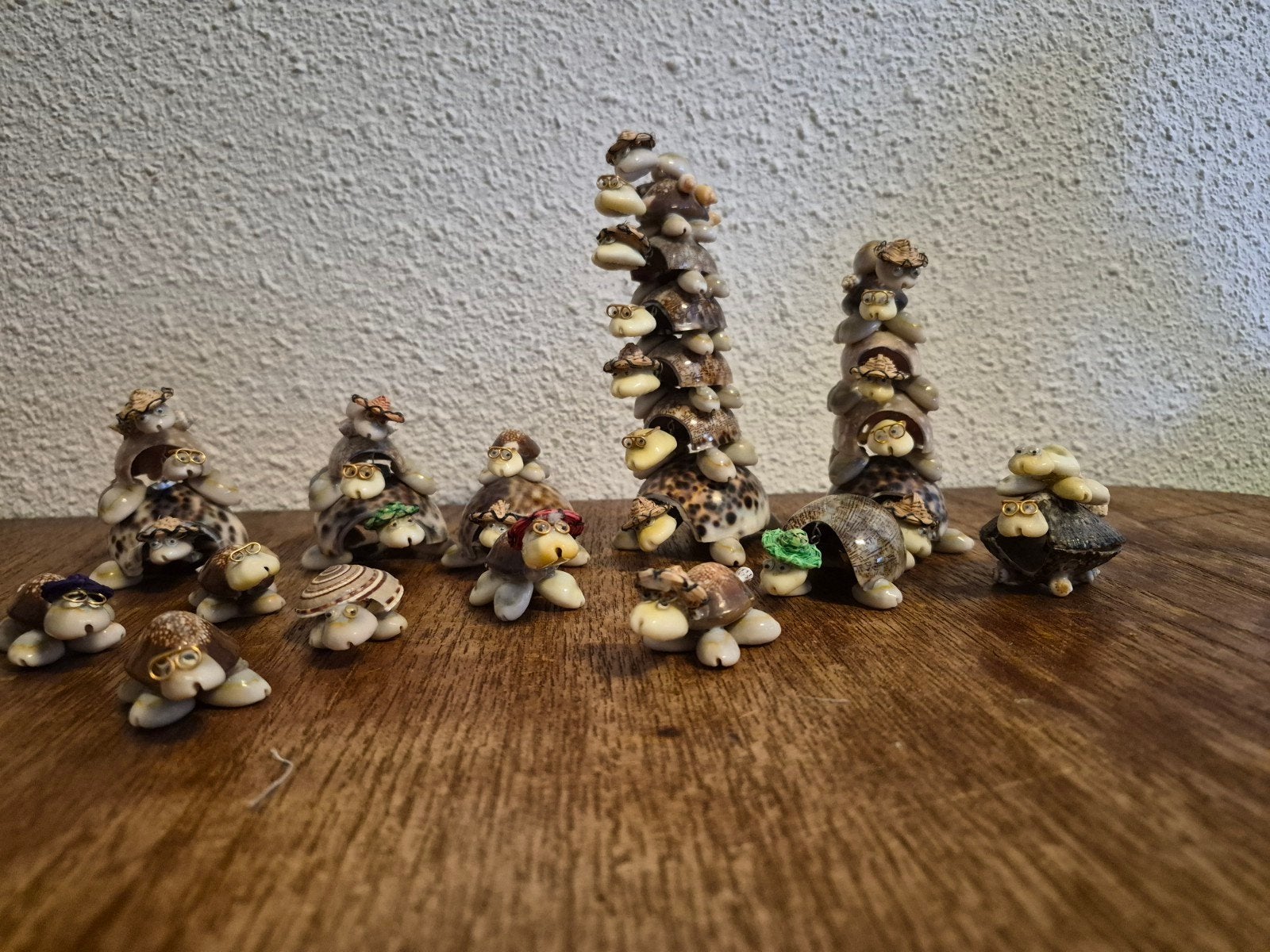 Verzameling van 15 unieke schelpschildpadden met brillen, Ophalen of Verzenden