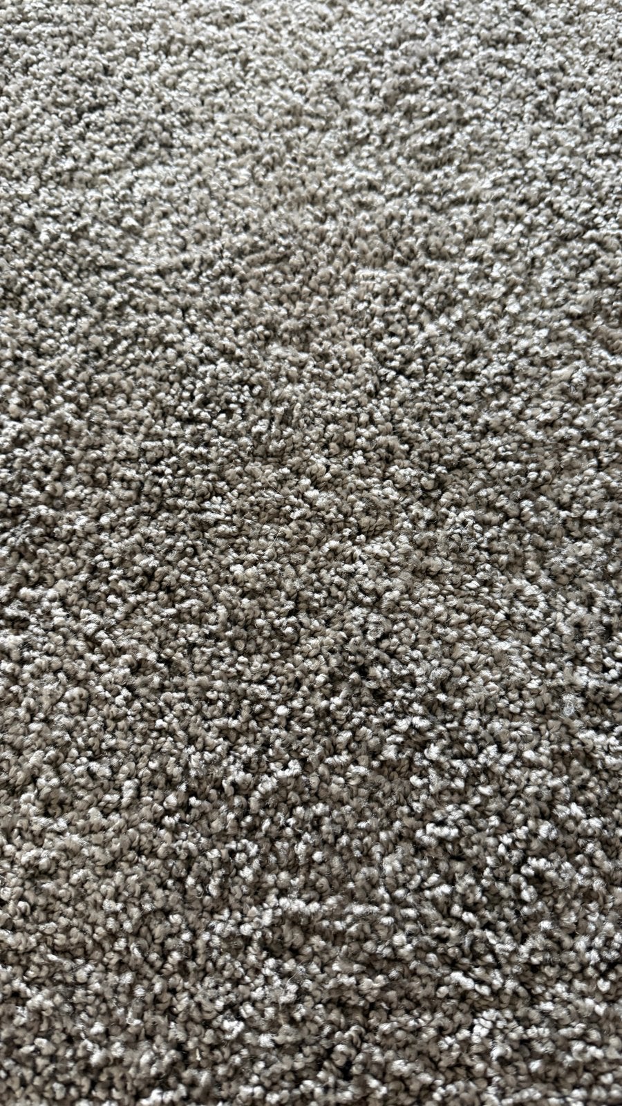 Nieuwe vloerbedekking - Hoogwaardig tapijt, Ophalen, Nieuw, Beige, Tapijt