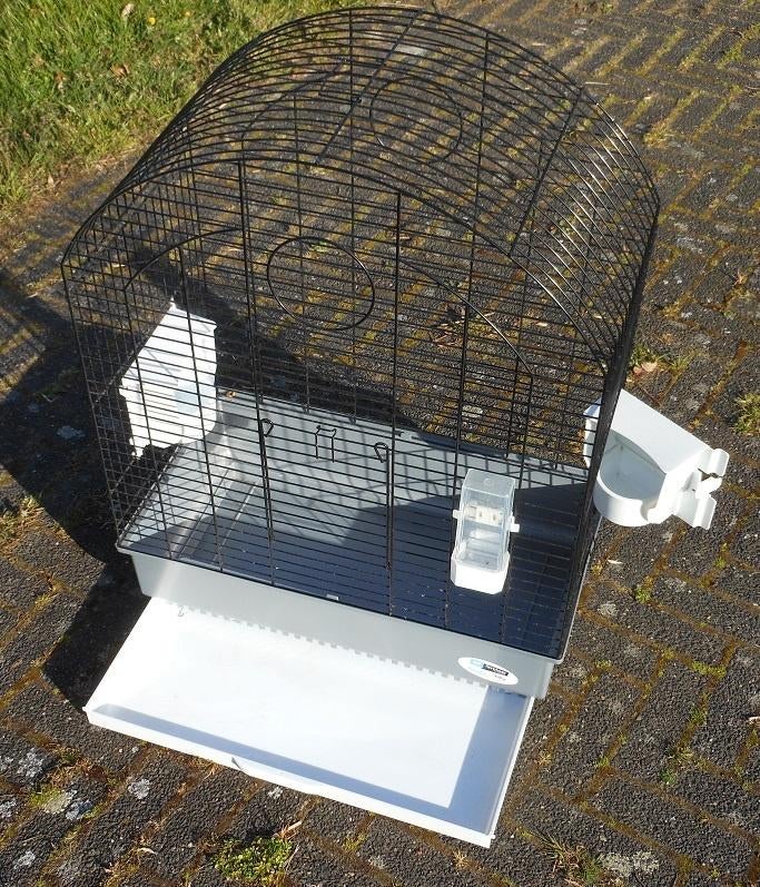 Te koop aangeboden zgan vogelkooi voor b.v. span tropen, Mannelijk