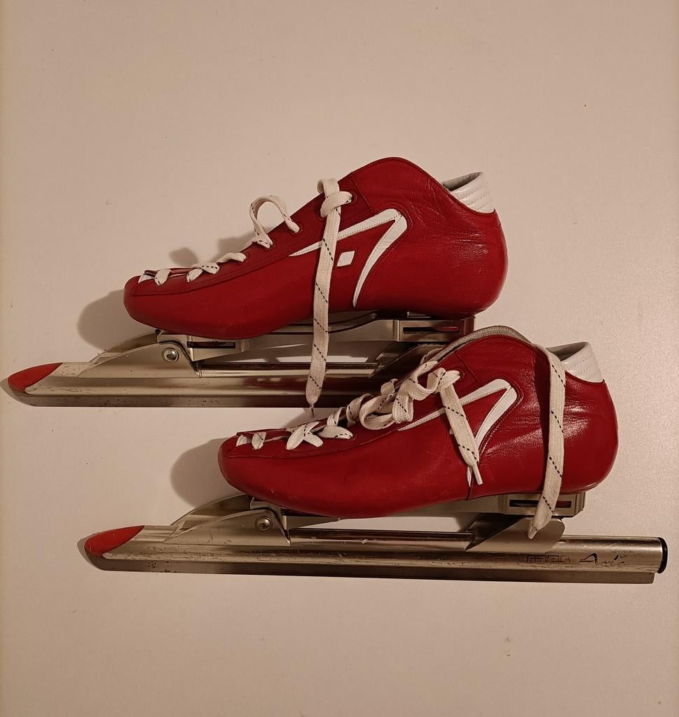 Rode Raps klapschaatsen, Sport en Fitness, Schaatsen, Ophalen of Verzenden, Zo goed als nieuw, Noren, Raps