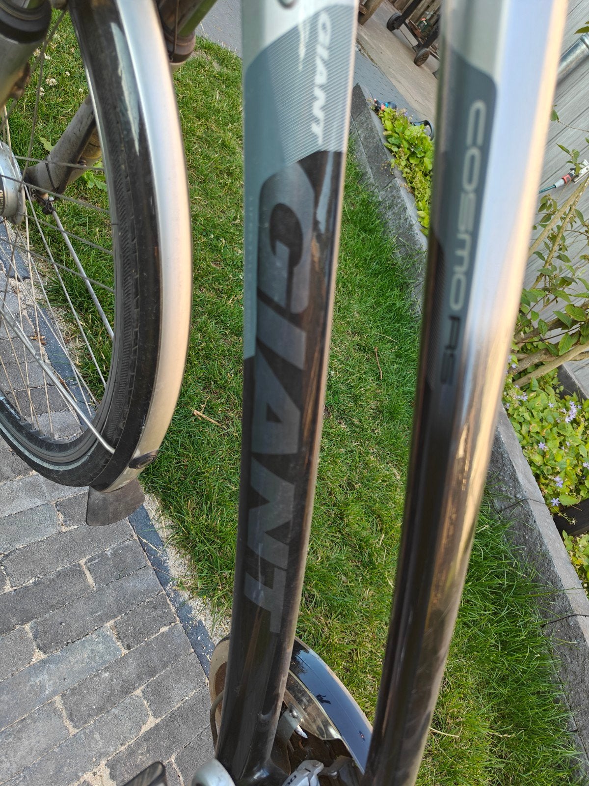 Damesfiets gratis, Fietsen en Brommers, Fietsen | Dames | Damesfietsen, Ophalen, Velgrem, Versnellingen, Giant