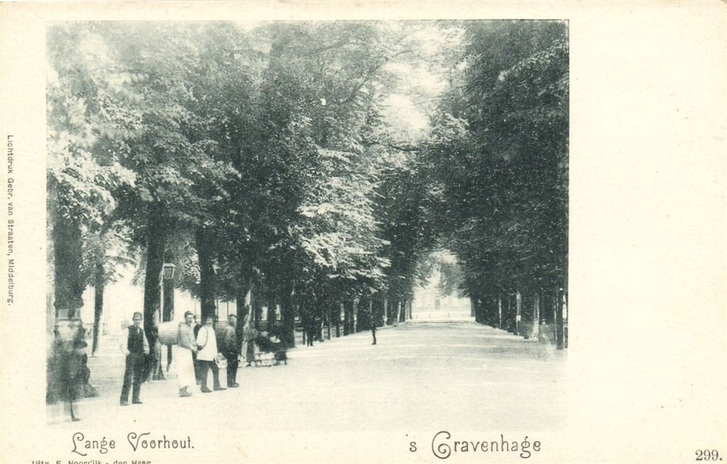 Lange Voorhout. - s Gravenhage - volk - ongelopen, Verzenden, Voor 1920, Ongelopen, Zuid-Holland