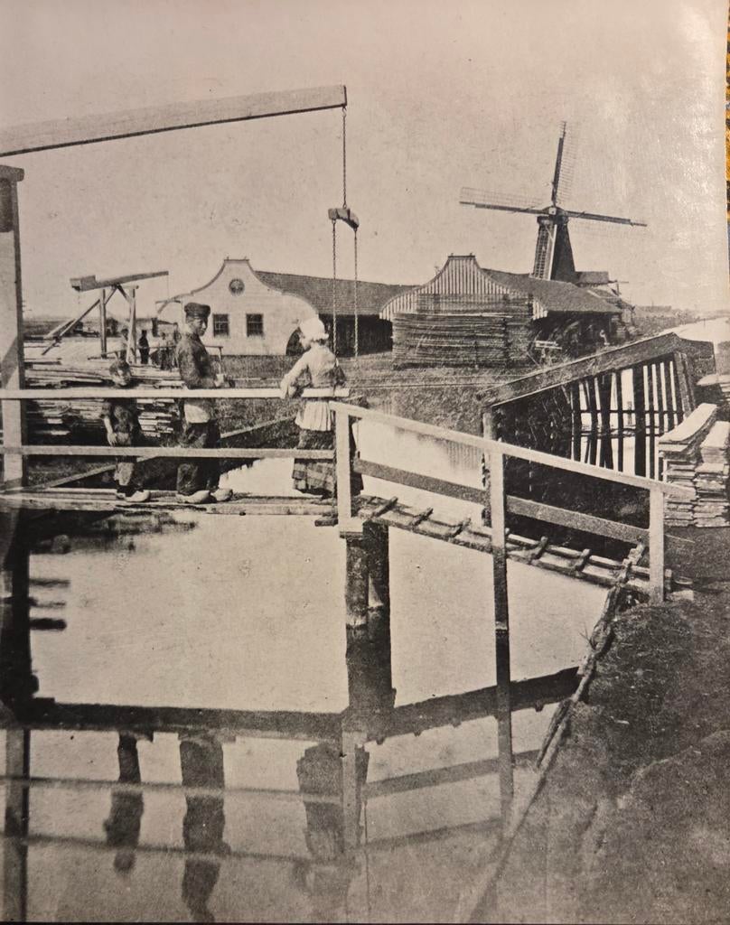Koog aan de Zaan molen de Groene Jager, Verzamelen, Foto's en Prenten, Ophalen of Verzenden, Voor 1940, Zo goed als nieuw, Overige onderwerpen
