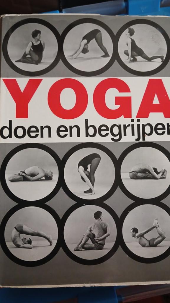 Yoga doen en begrijpen Android van Lysebeth, Boeken, Ophalen of Verzenden, Medisch