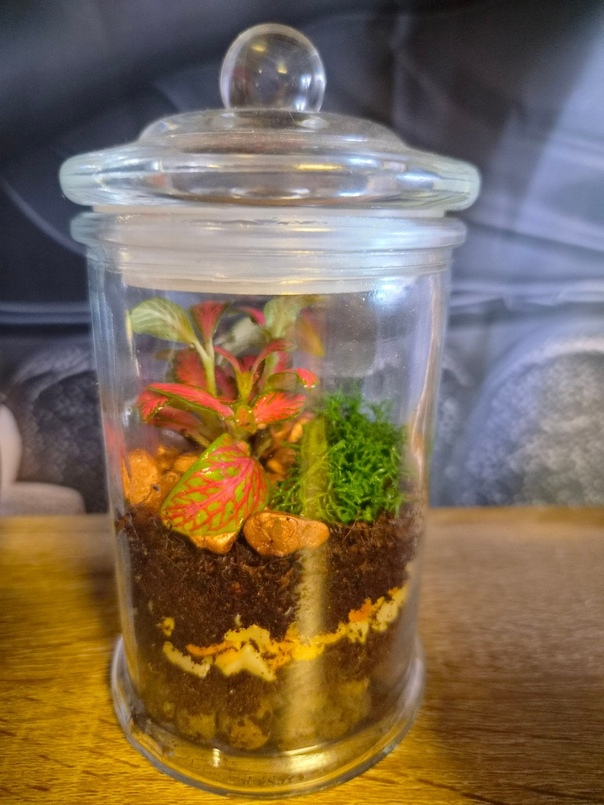 klein planten terrarium, Huis en Inrichting, Glas, Ophalen, Nieuw, Handgemaakt