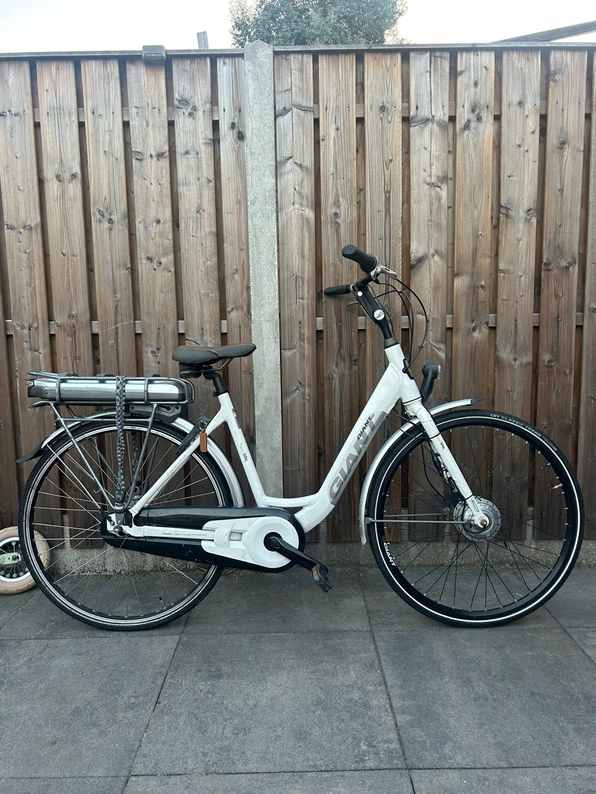 Giant elektrische fiets, Fietsen en Brommers, Elektrische fietsen, Ophalen, Zo goed als nieuw, Overige merken
