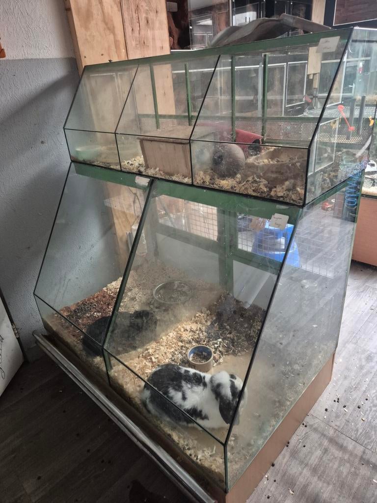 Knaagdier verblijven / terrarium glas – meerdere, Ophalen, Nieuw, Kooi, Minder dan 60 cm