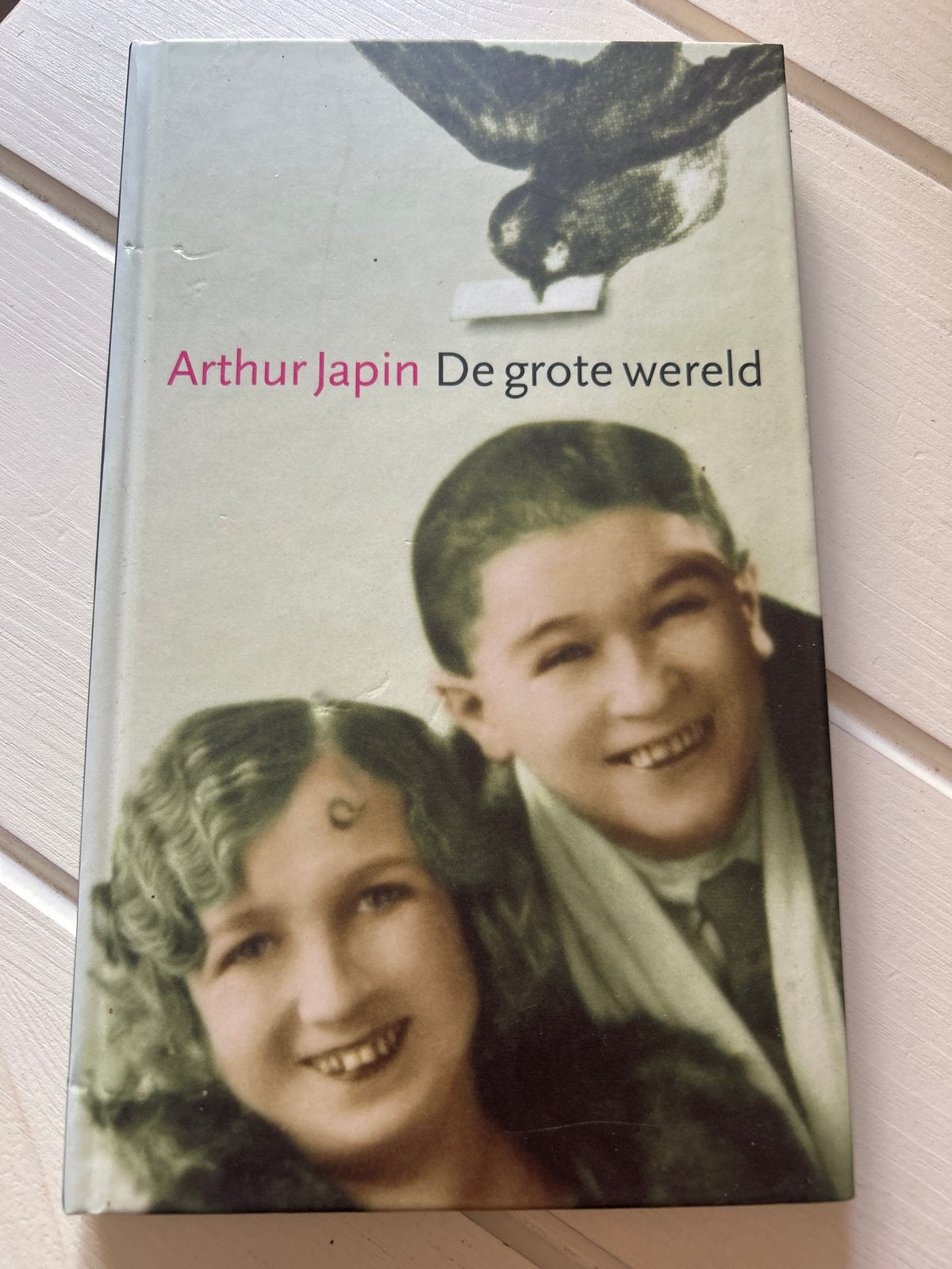 Arthur Japin - De grote wereld (Boek), Boeken, Literatuur, Ophalen of Verzenden, Gelezen, Nederland