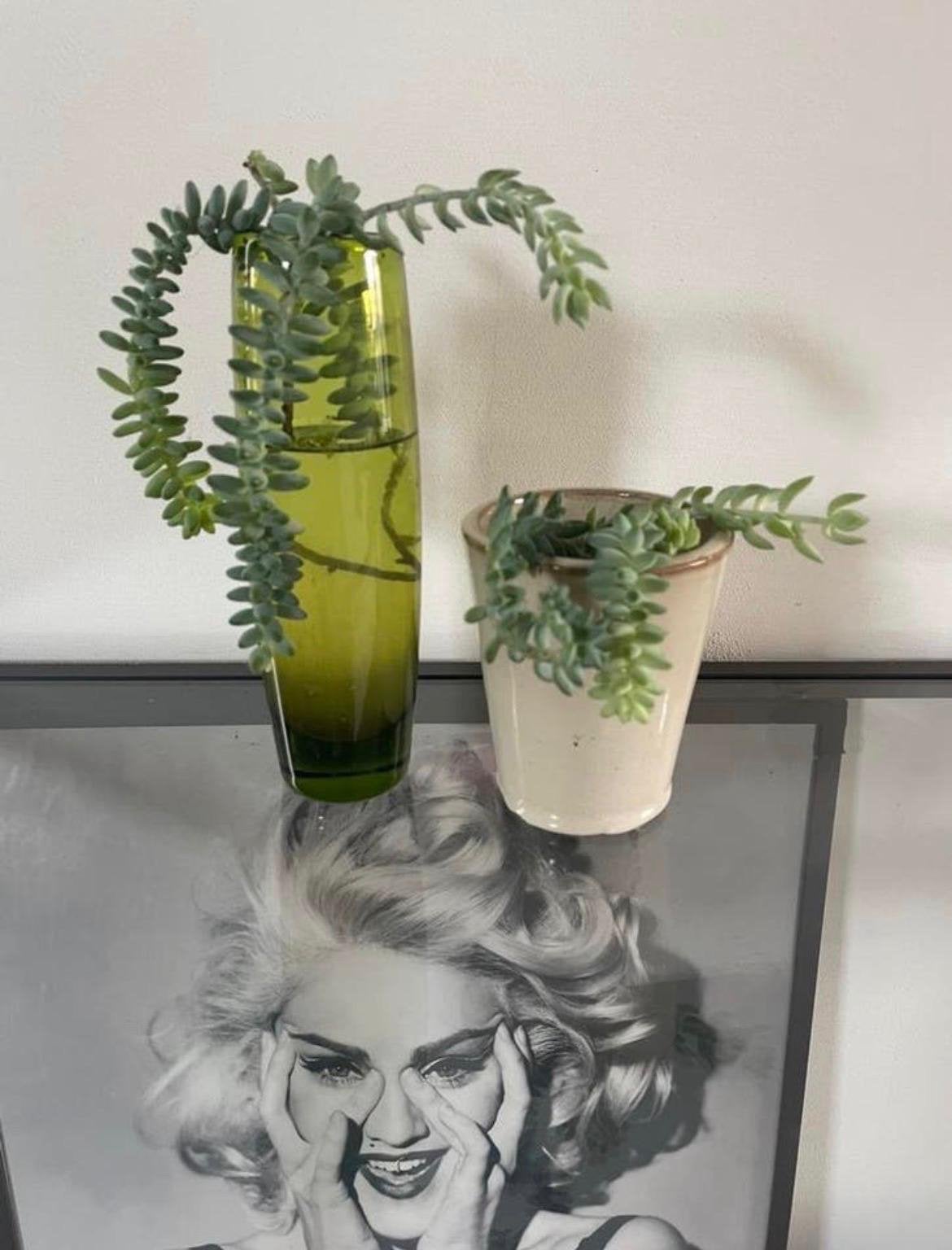 Vintage leuke bloempotten vazen bio stekjes kamerplanten, Ophalen of Verzenden, Zo goed als nieuw, Meerkleurig, Overige materialen