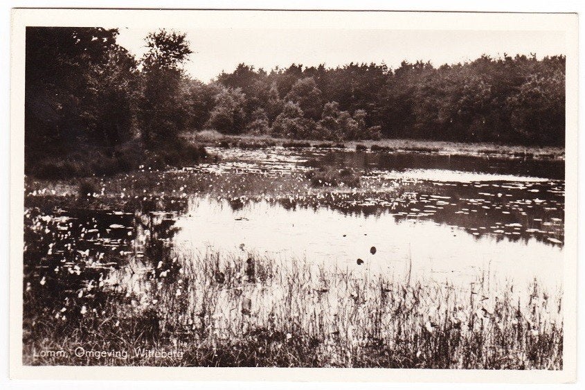 Lomm Arcen bij Venlo - Omgeving Witteberg, Verzenden, 1940 tot 1960, Gelopen, Limburg