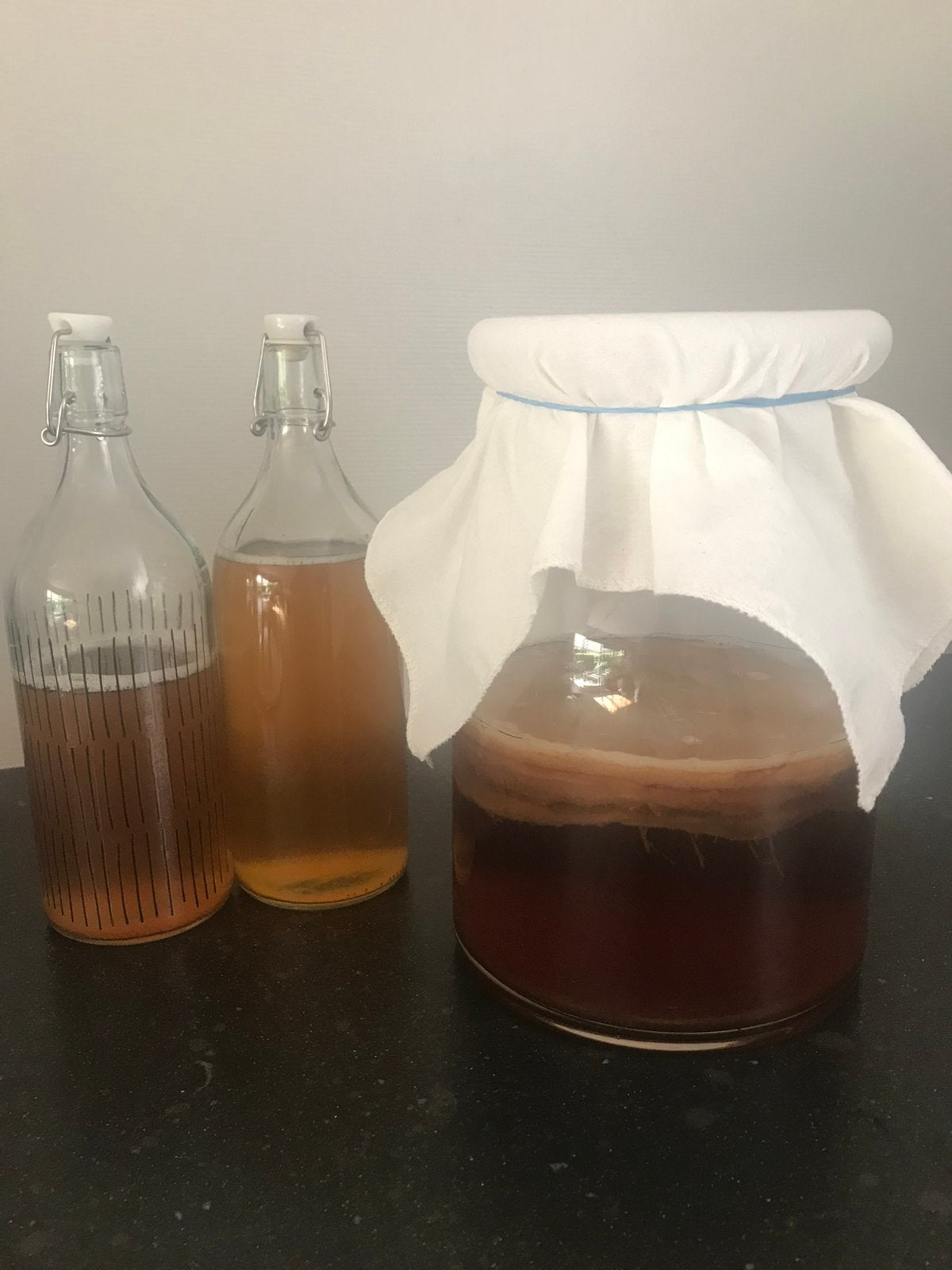 Kombucha: scoby + startvloeistof, Ophalen