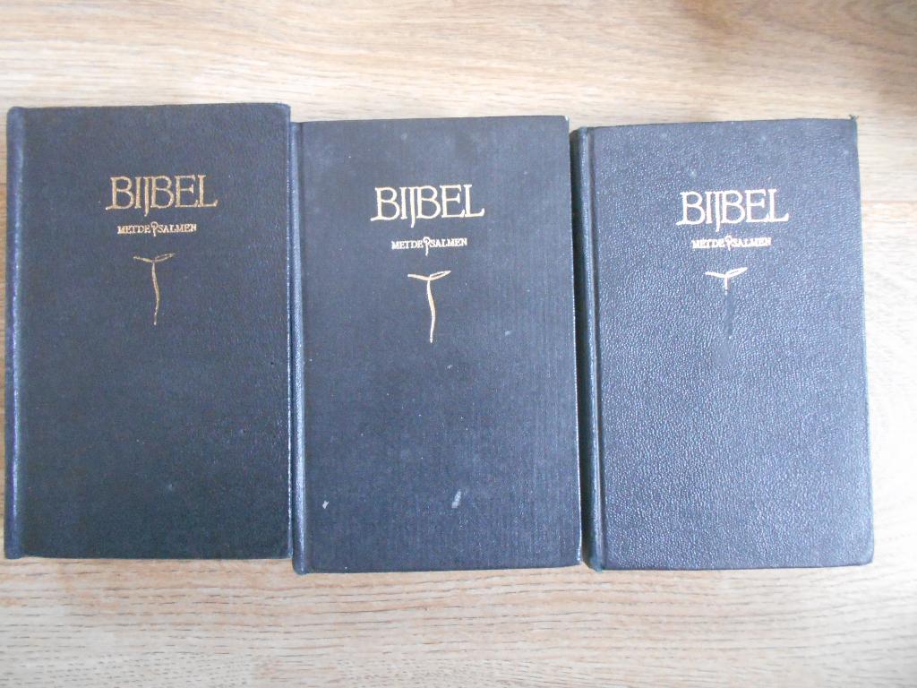 Bijbels 3 stuks, Ophalen of Verzenden, Gelezen, Christendom | Protestants