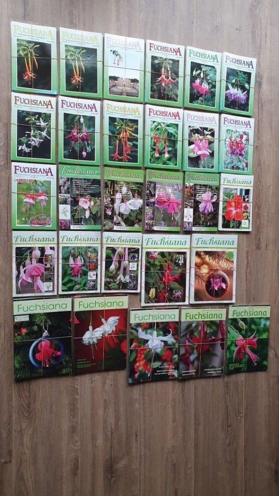 Fuchsia vakbladen Fuchsiana Ned. Kring van Fuhsiavrienden, Boeken, Diverse auteurs, Ophalen of Verzenden, Zo goed als nieuw, Tuinieren en Tuinplanten