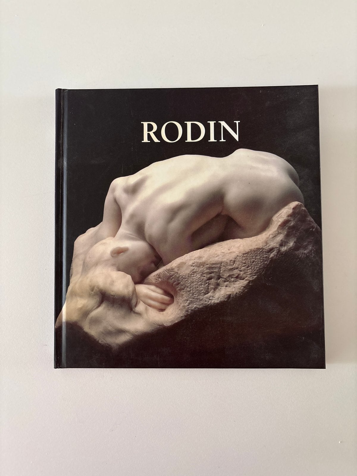 Rodin: Een Prachtig Geïllustreerd Kunstboek, Ophalen of Verzenden, Zo goed als nieuw, Beeldhouwkunst