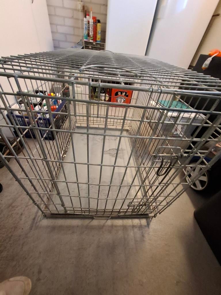Hondenbench, Dieren en Toebehoren, Ophalen, 75 tot 110 cm, 65 tot 100 cm