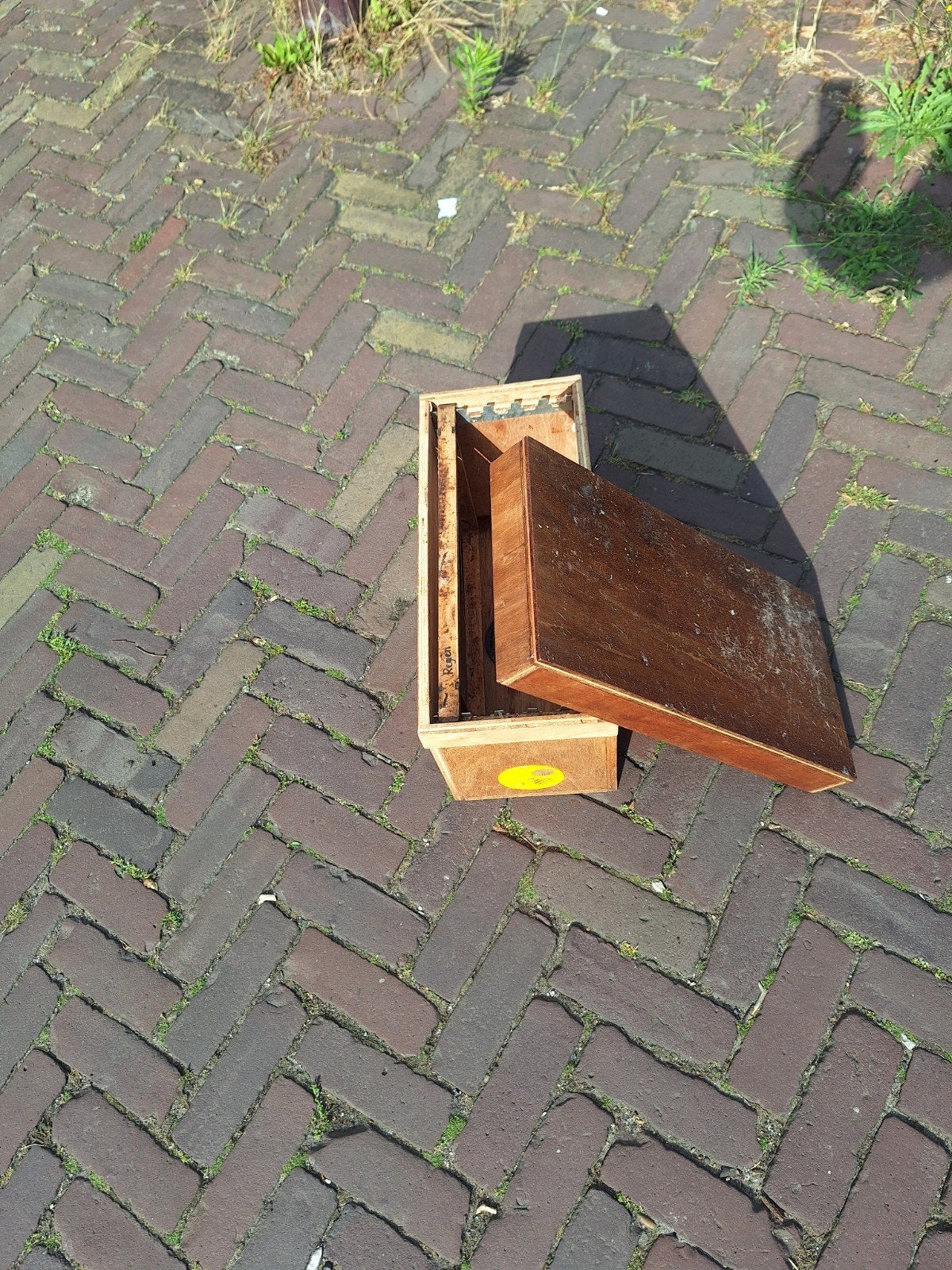 5 ramer bijenkastje voor zwerm of aflegger. Watervast., Dieren en Toebehoren, Bijen