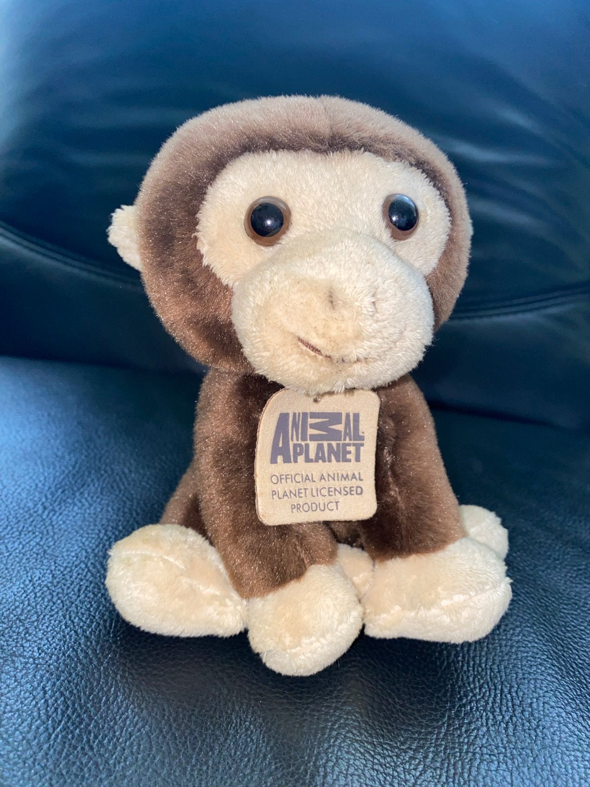 Schattige Animal Planet Aap Knuffel - Zo goed als nieuw, Overige merken, Overige karakters, Ophalen of Verzenden, Middelgroot (20 tot 80 cm)