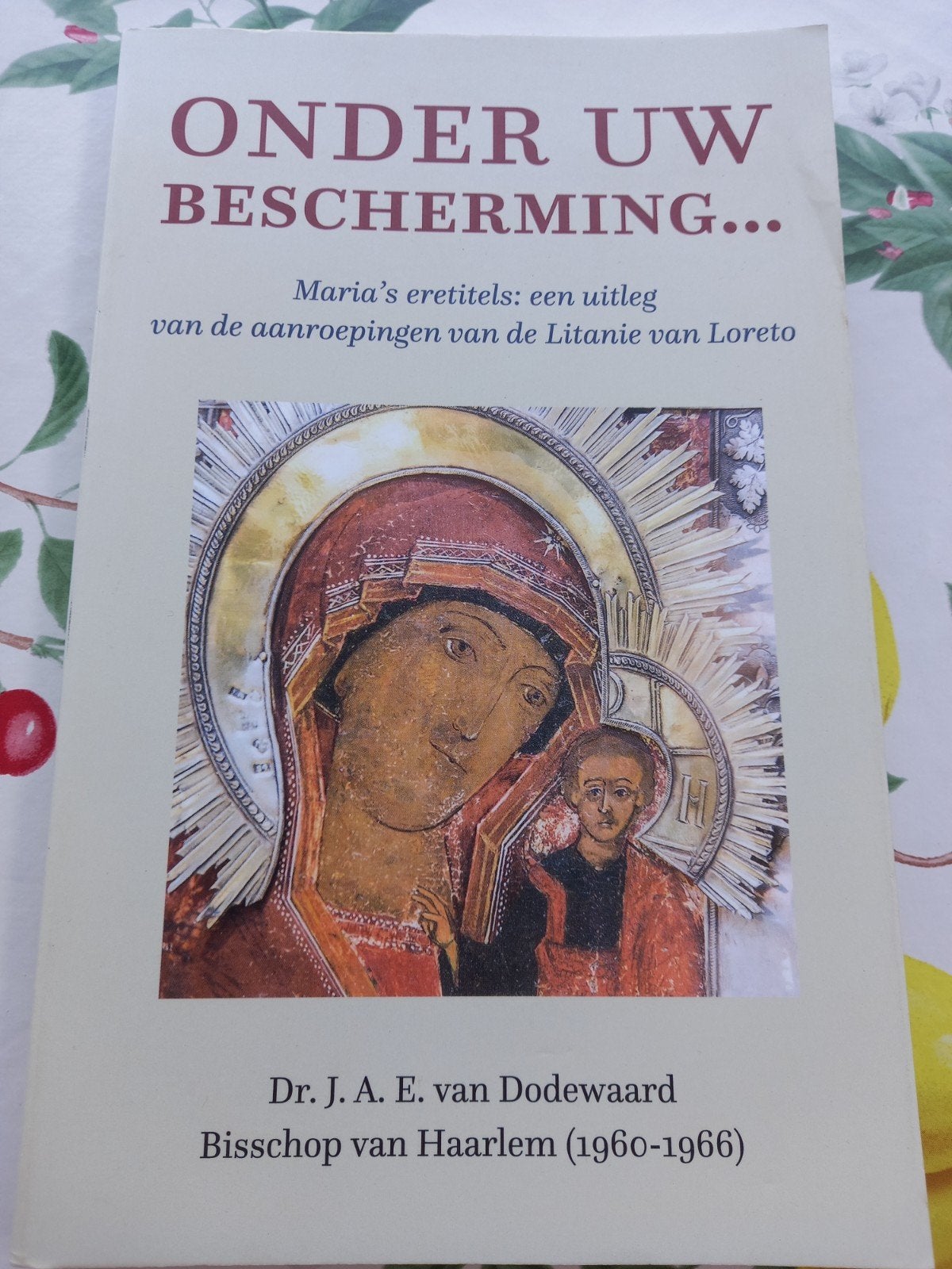 M1 J. A. E. van Dodewaard - Onder uw bescherming..., J. A. E. van Dodewaard, Christendom | Katholiek, Ophalen of Verzenden, Zo goed als nieuw