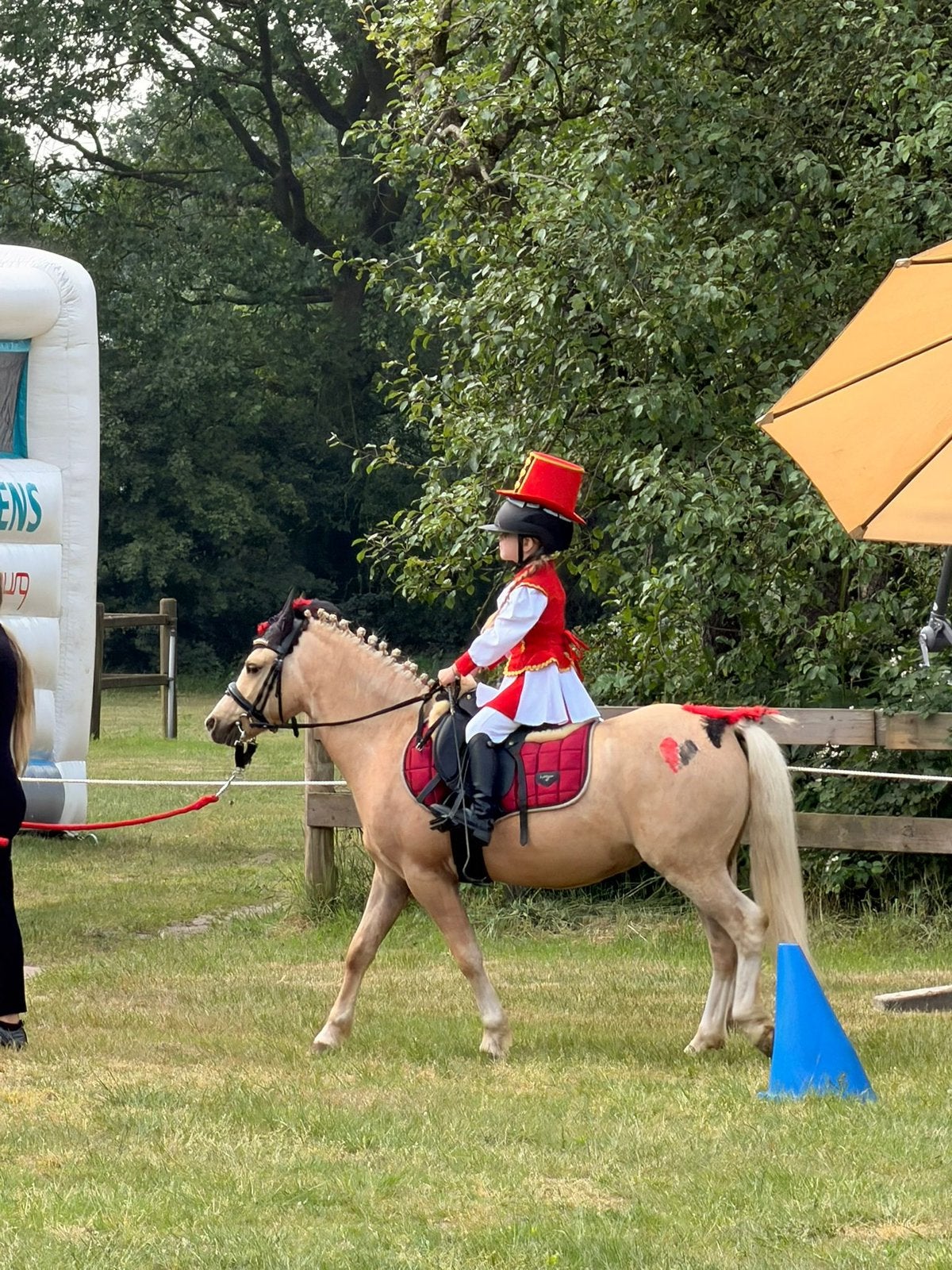 BIJRIJDER GEZOCHT voor onze B pony’s en shetlander, Dieren en Toebehoren, Paarden en Pony's | Overige Paardenspullen, Ophalen