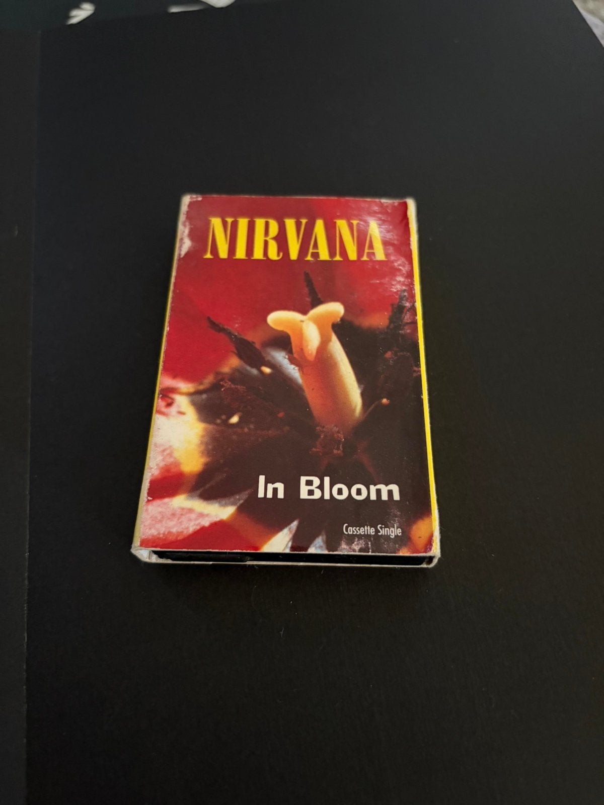Nirvana Cassette - In Bloom, Ophalen of Verzenden, Zo goed als nieuw, 1 bandje