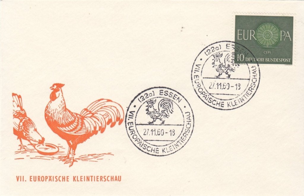 Kip en Haan cover Bundespost Europese Kleindierenshow 1960, Postzegels en Munten, Ophalen of Verzenden, Envelop