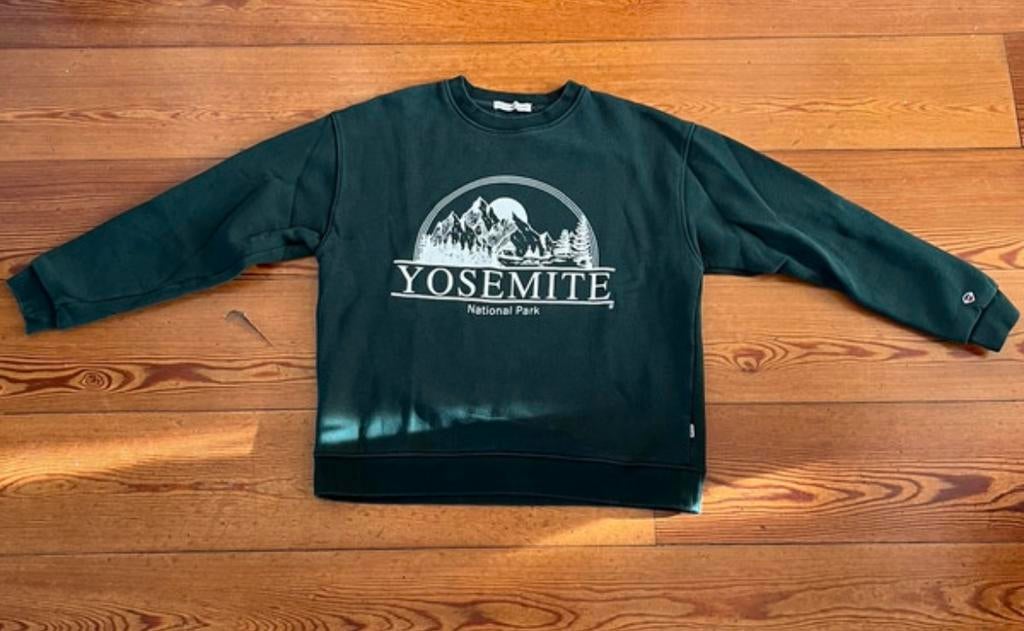 America Today Groene Yosemite Trui Maat S, Ophalen of Verzenden, Zo goed als nieuw, Maat 36 (S), Groen