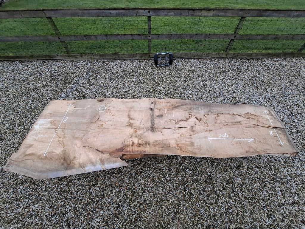 Mooie beukenhouten schaaldelen, Doe-het-zelf en Verbouw, Ophalen, Nieuw, Plank, 50 mm of meer