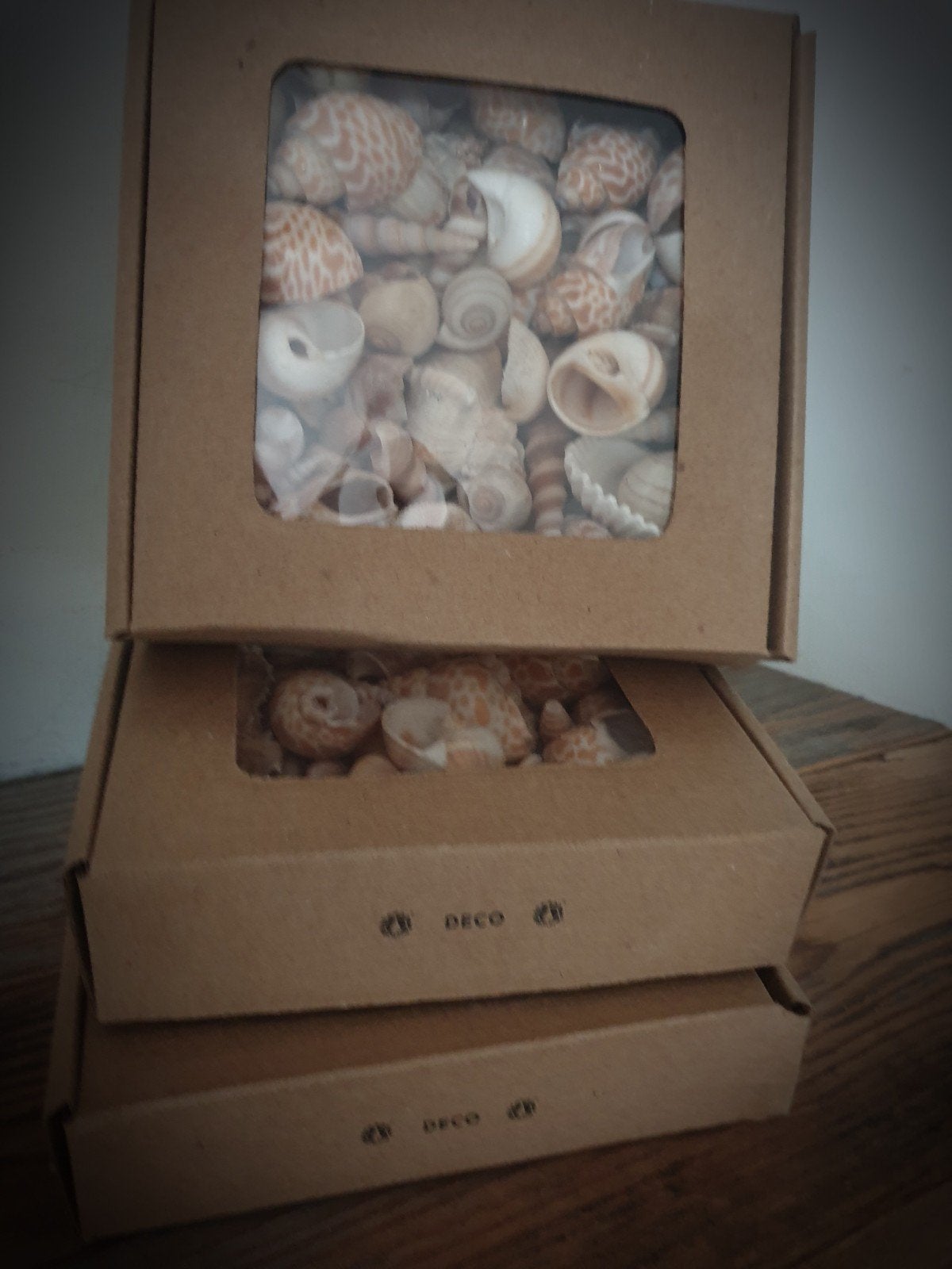Doosje schelpen  - mixed shells - naturel mix - krans maken, Ophalen of Verzenden, Nieuw, Natuurlijk materiaal