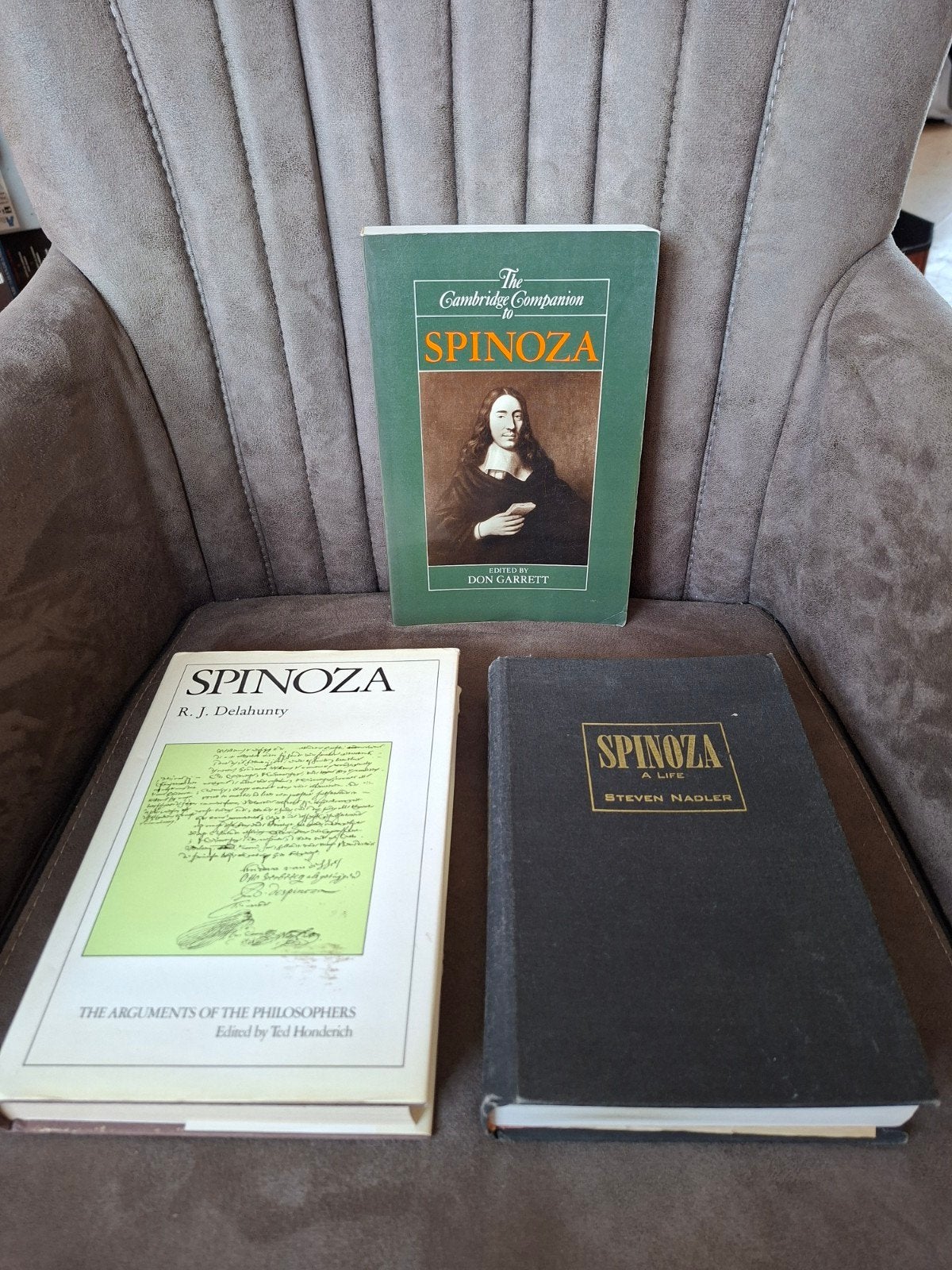 Spinoza Boeken Collectie: Filosofie en Leven, Boeken, Ophalen of Verzenden, Gelezen, Wijsbegeerte of Ethiek, Don Garrett, R.J. Delahunty, Steven Nadler