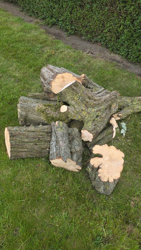 Vers Meidoorn hout, Minder dan 3 m³, Ophalen
