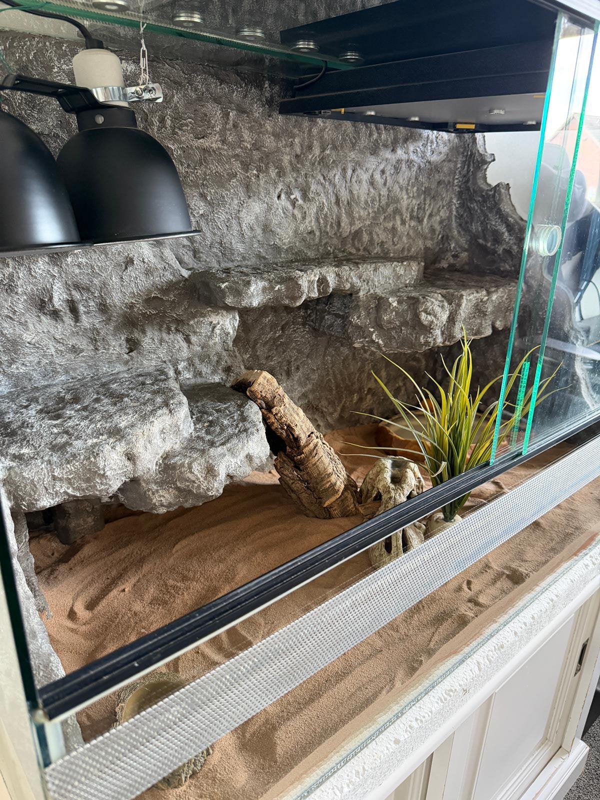 Complete Terrarium, Dieren en Toebehoren, Ophalen, Zo goed als nieuw, Terrarium of Paludarium