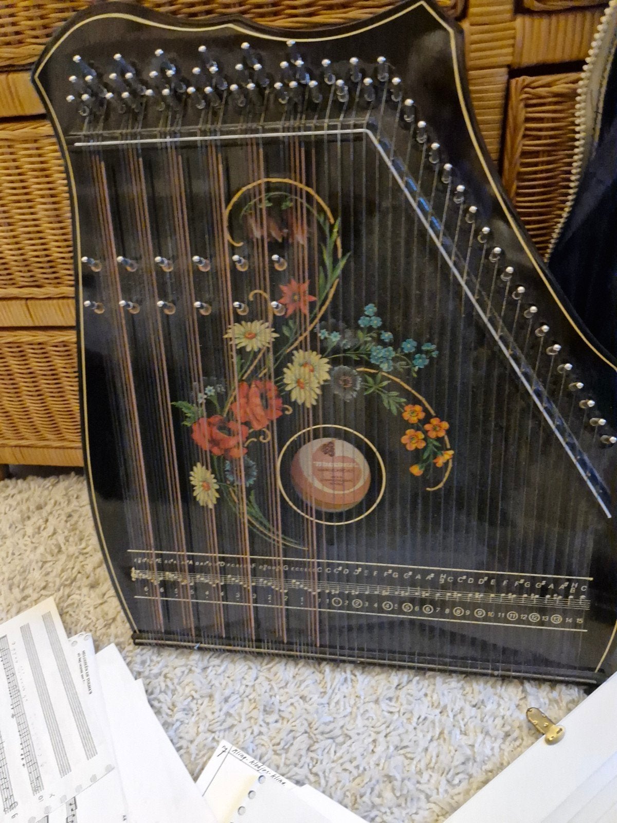 Citer . 58 cm x 41cm, Muziek en Instrumenten, Snaarinstrumenten | Harpen, Ophalen, Zo goed als nieuw