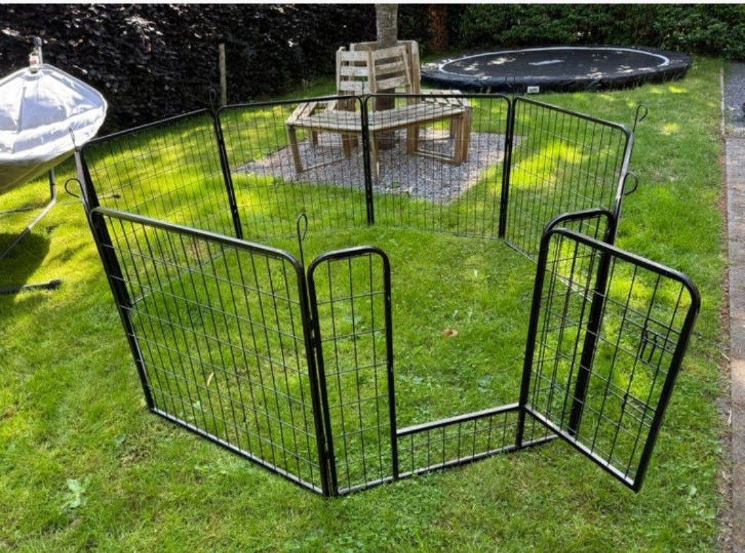 Puppyren te Huur!, Ophalen, Hondenkennel, 110 cm of meer, 65 tot 100 cm