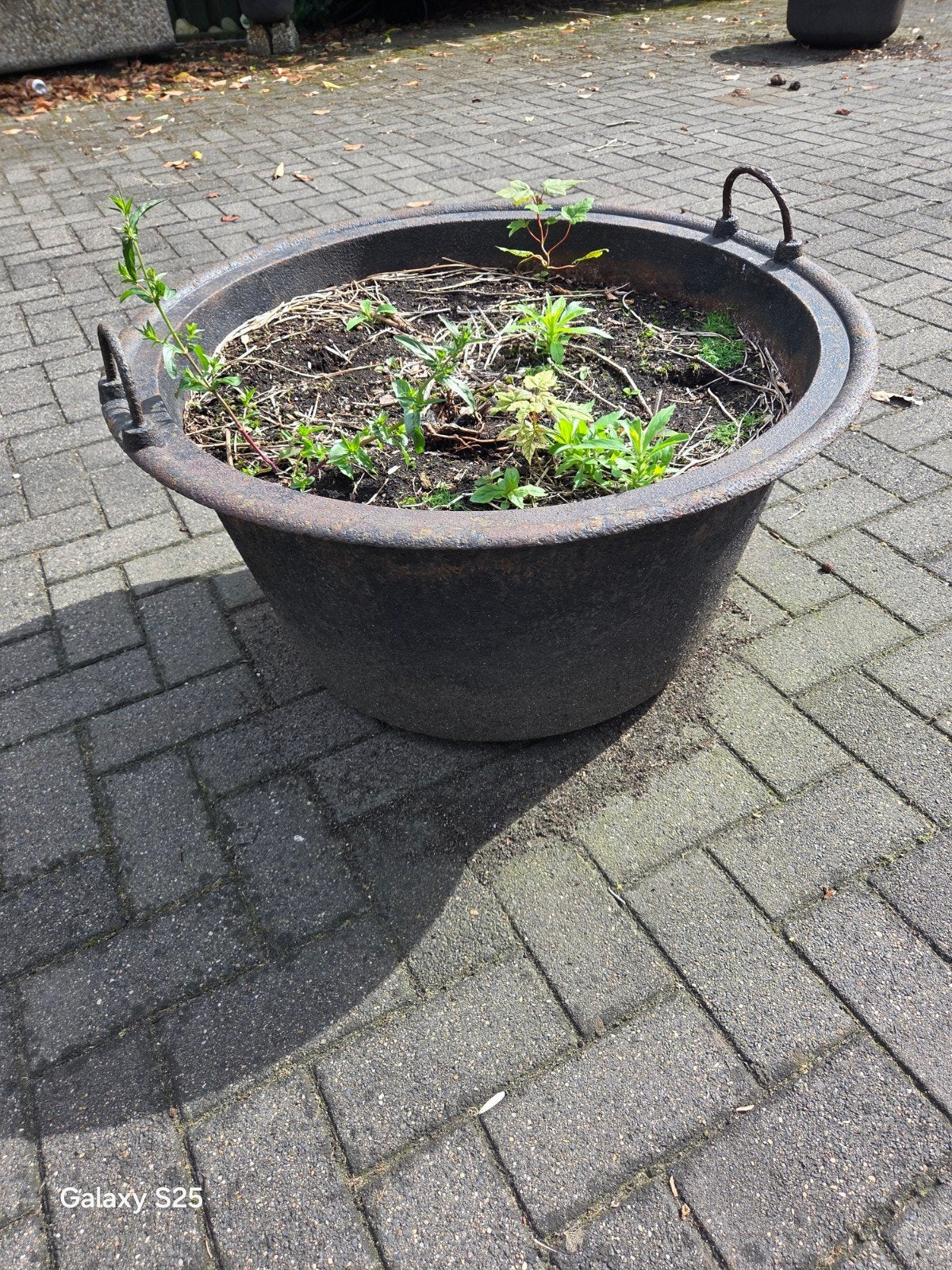 Grote gietijzeren plantenbak / bloempot, Ophalen, Gebruikt, 100 cm of meer, Rond