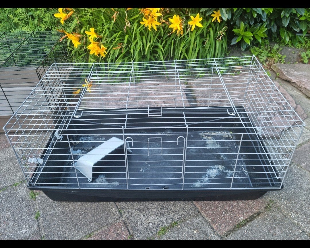 Keurig binnenverblijf hok kooi cavia konijn 100 cm lang !, Minder dan 60 cm, 110 cm of meer, Ophalen of Verzenden, Zo goed als nieuw