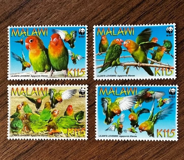 Malawi 2009 Vogels (Lilian's Lovebird) Postfris WWF, Ophalen of Verzenden, Postfris