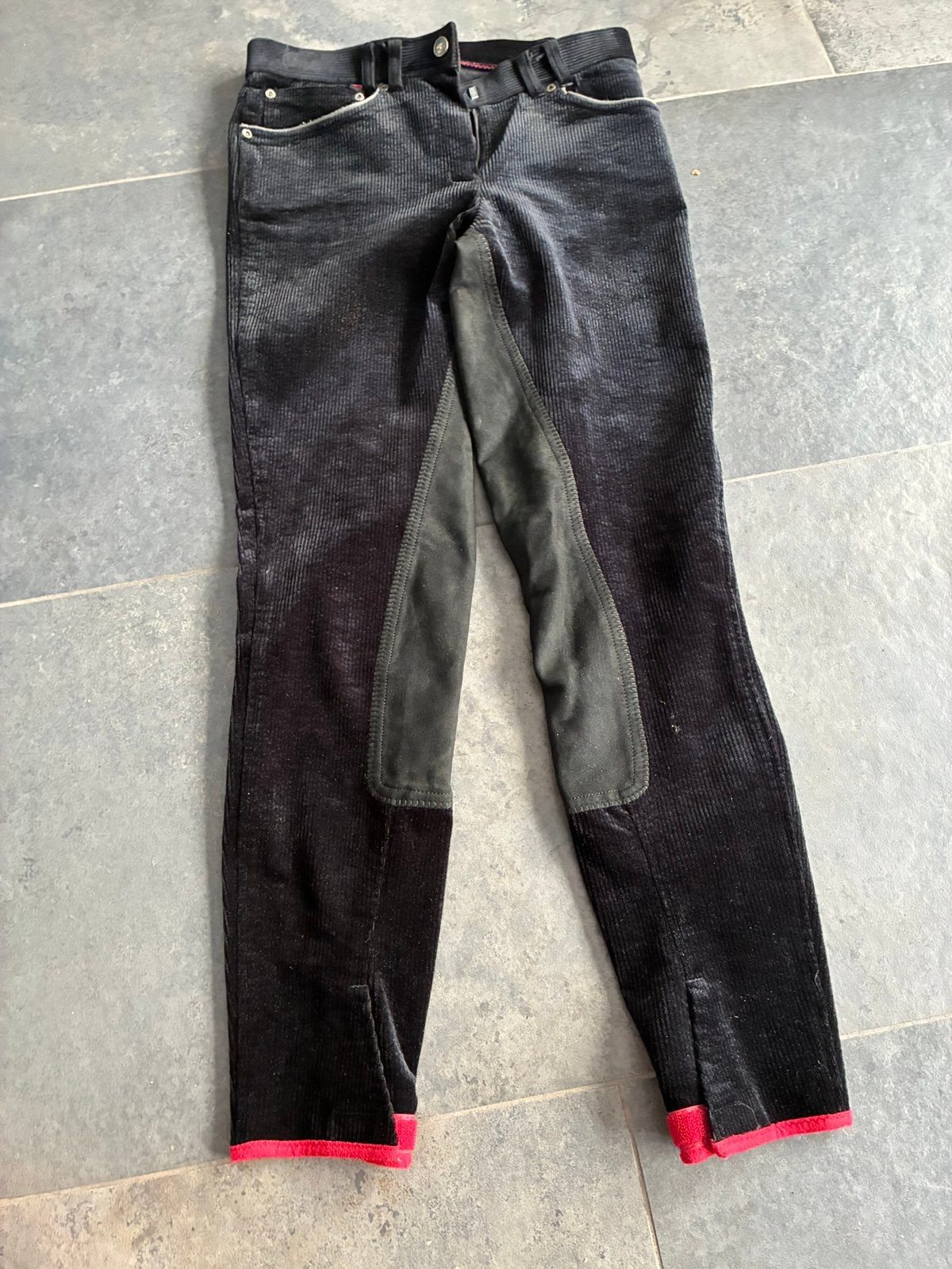 Euro-star Cooto Cord 740 paardrijbroek 34, Ophalen of Verzenden, Zo goed als nieuw, Dressuur, Bovenkleding