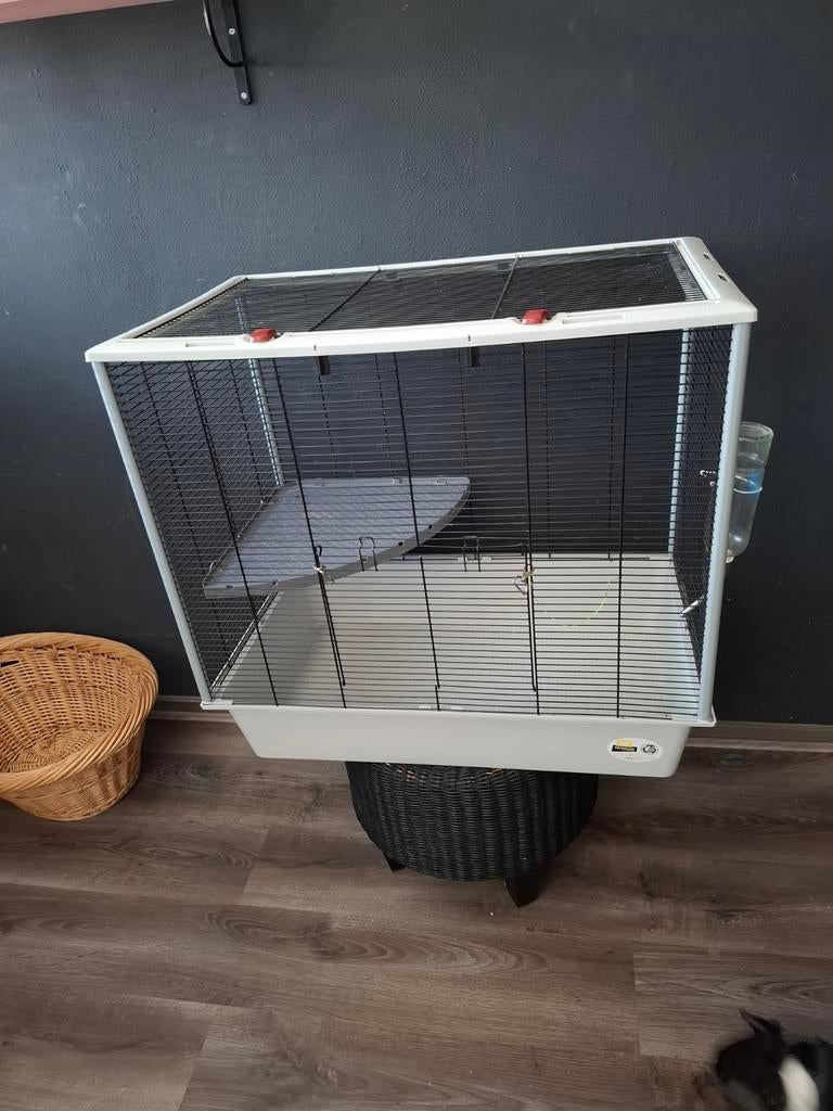 Mooi rattenkooi, Minder dan 60 cm, Kooi, Ophalen of Verzenden, Zo goed als nieuw