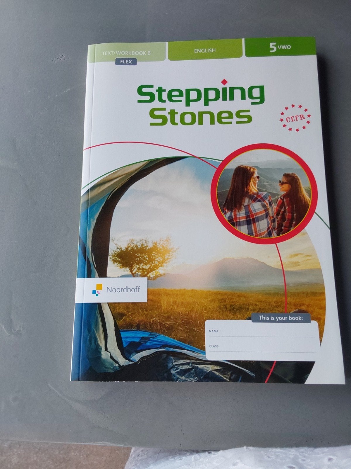 Stepping Stones Engels 5 VWO Text/Workbook B Noordhoff, Gelezen, VWO, Engels, Noordhoff