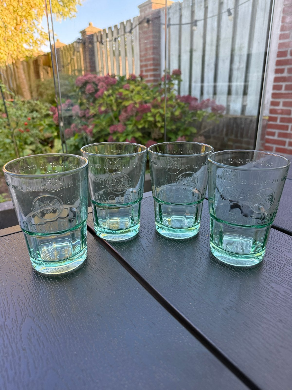 Bacardi glazen - set van 4, Ophalen of Verzenden, Zo goed als nieuw, Groen, Glas