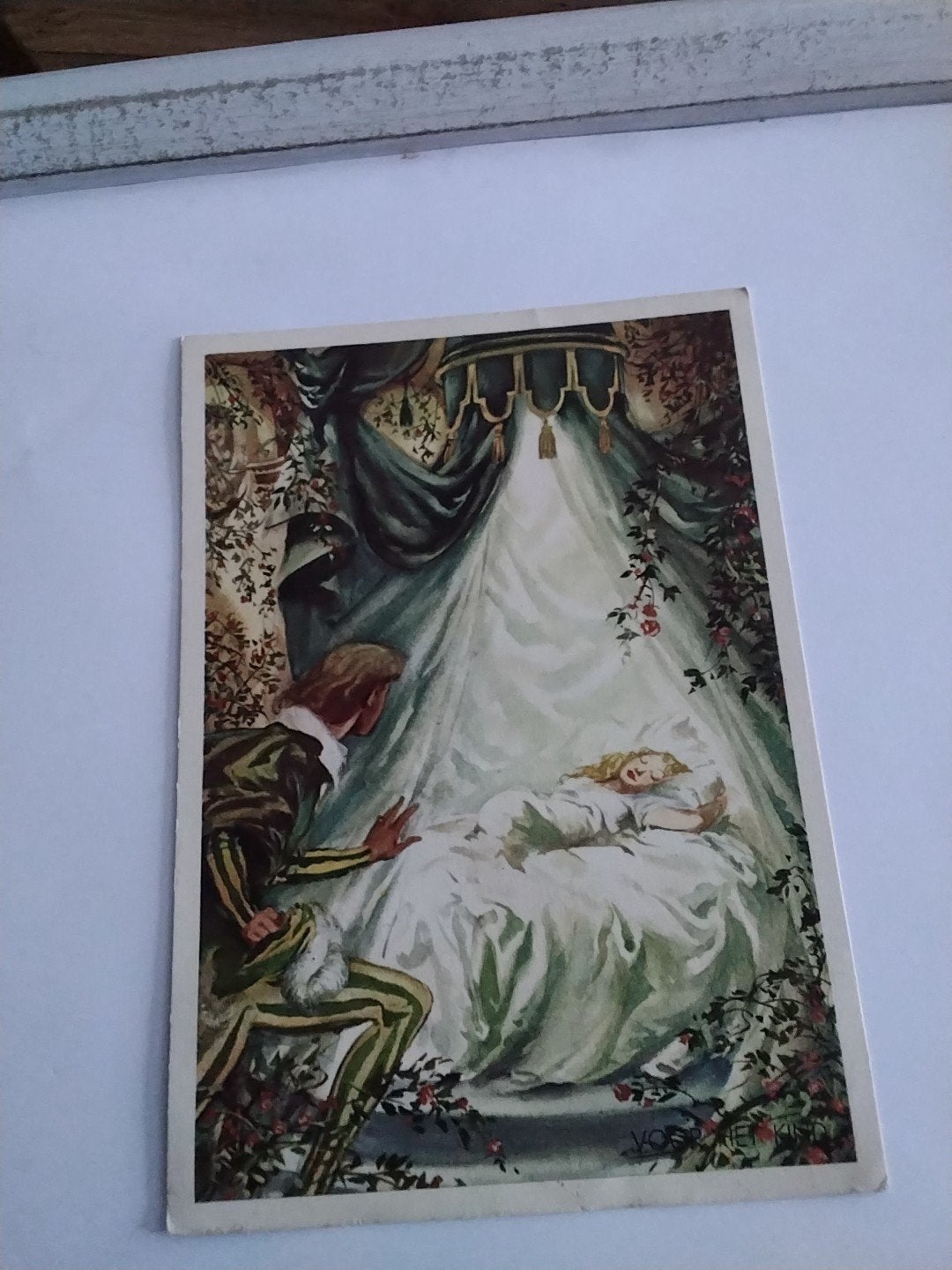 Vintage Doornroosje Ansichtkaart - 1956, Ophalen of Verzenden