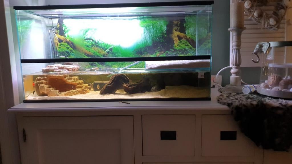 Schildpad aquarium/terrarium, Ophalen, Gebruikt, Overige typen